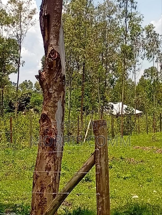 Prime Land for Sale - thumbnail 3