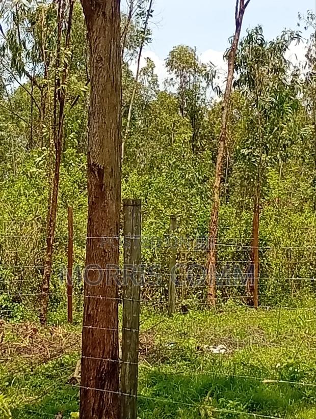 Prime Land for Sale - thumbnail 4