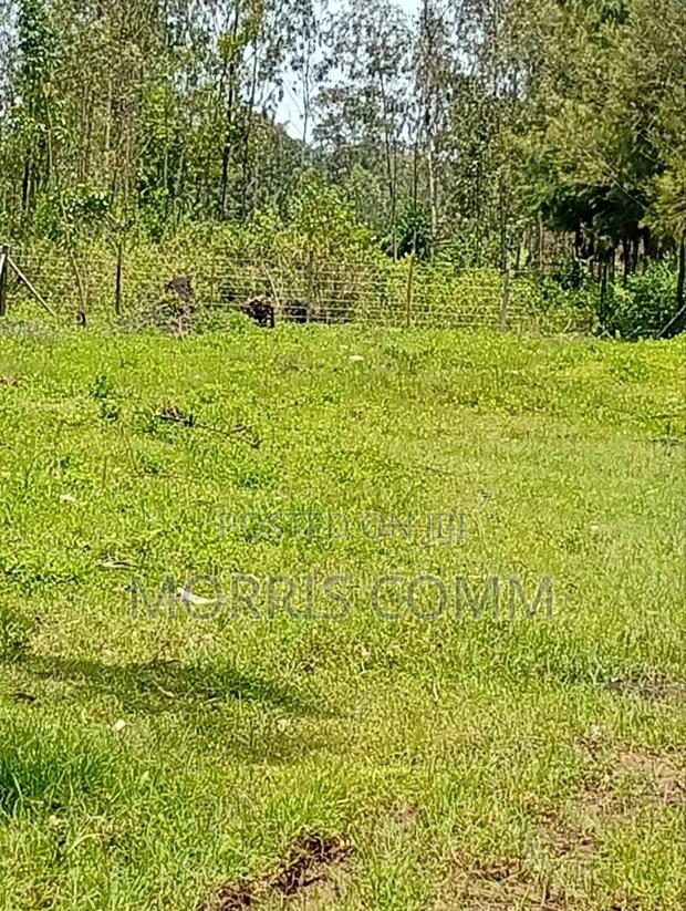 Prime Land for Sale - thumbnail 5