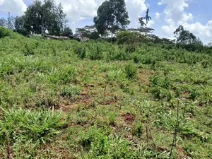 Prime 1.5 Acre on Sale in Upper Matasia 1km Off Tarmac, Red Topsoils