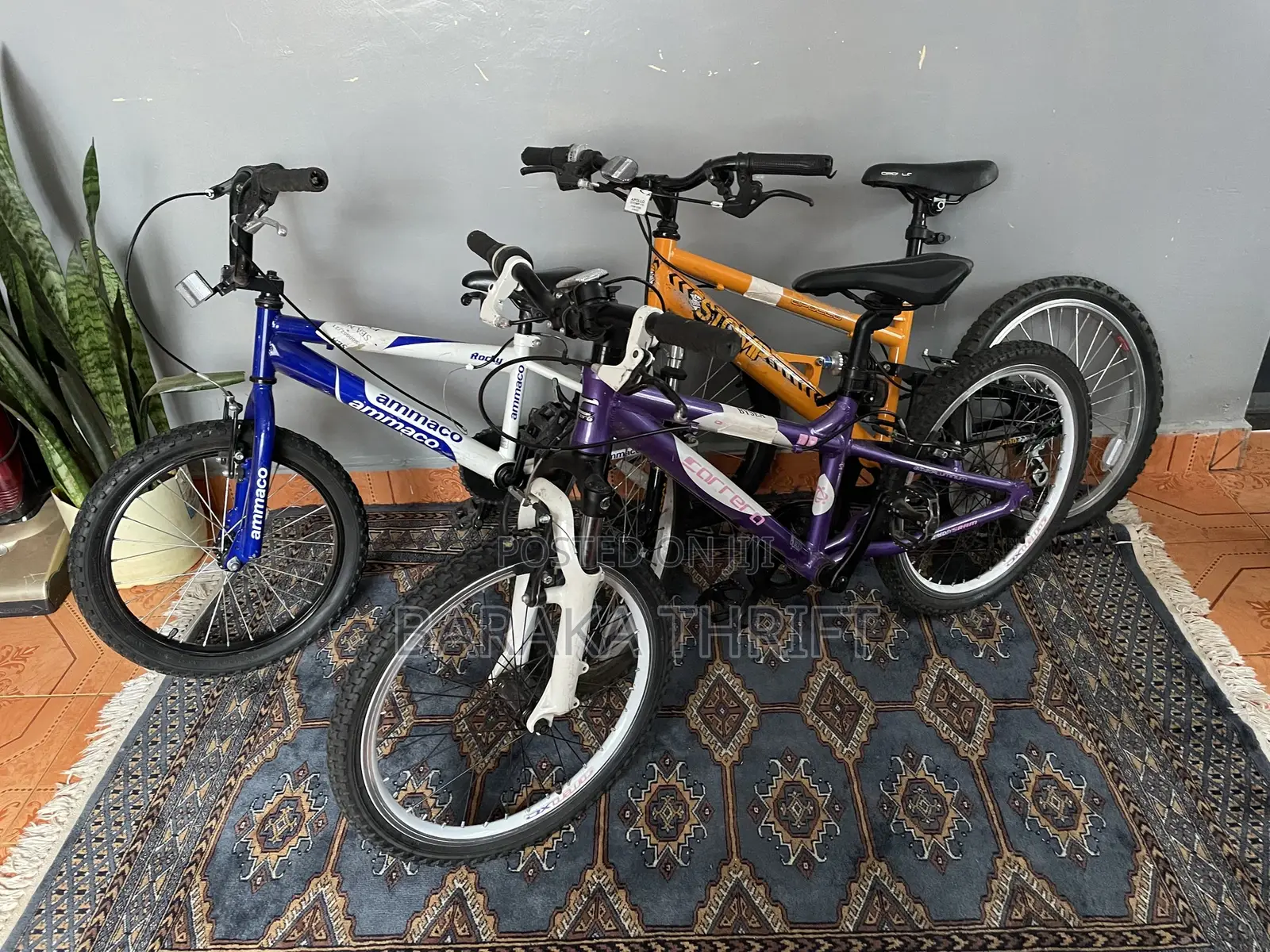 Shimano Equipped Bikes(16,20)