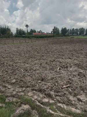 100×100 Plot