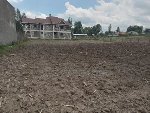 100×100 Plot