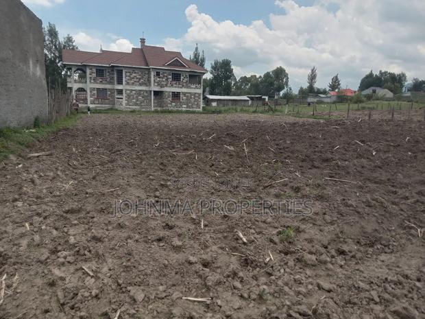 100×100 Plot - thumbnail 4