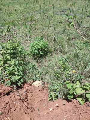 50*100 Plot at Teldet- Maili Nne, Eldoret.