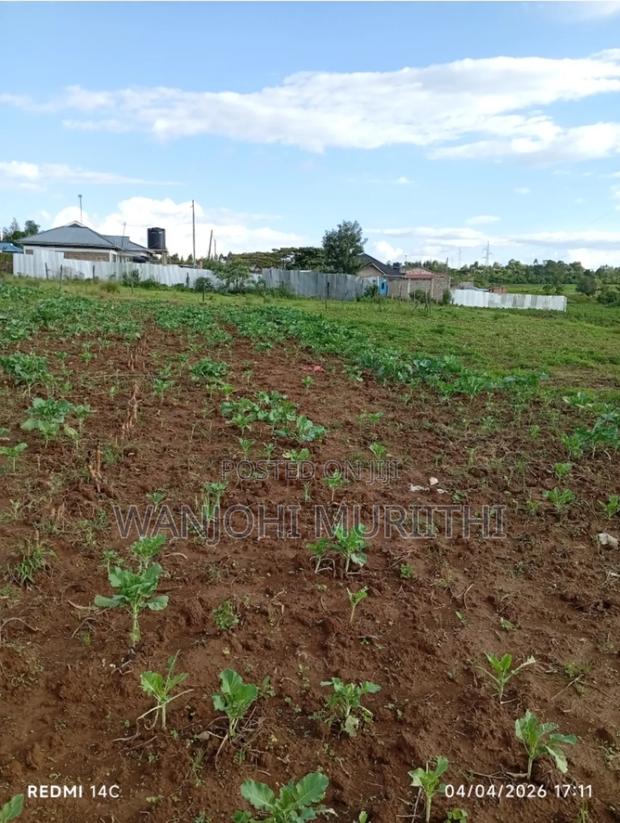 50*100 Plot, Ngarariga Ragati Nanyuki - thumbnail 6