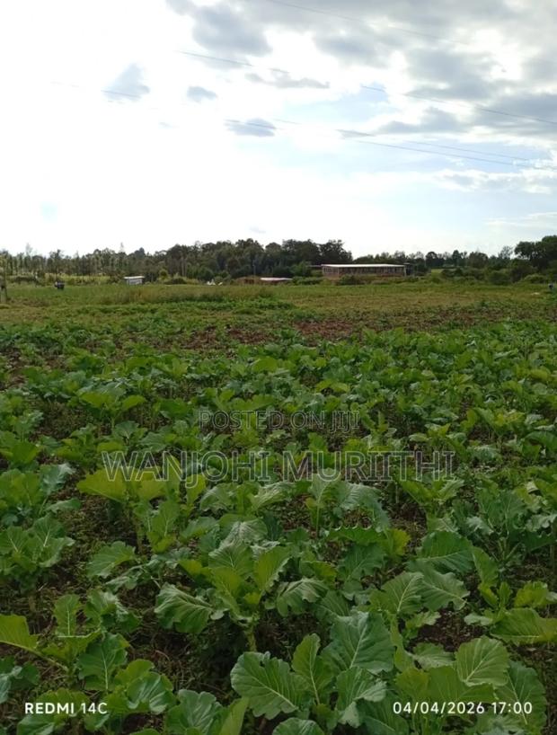 50*100 Plot, Ngarariga Ragati Nanyuki - thumbnail 8