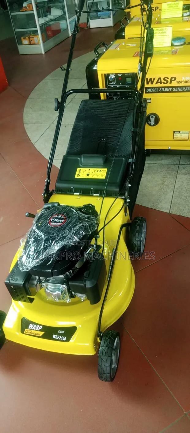 Wasp 196cc Self Propelled Lawnmower 21 "Cutting Height