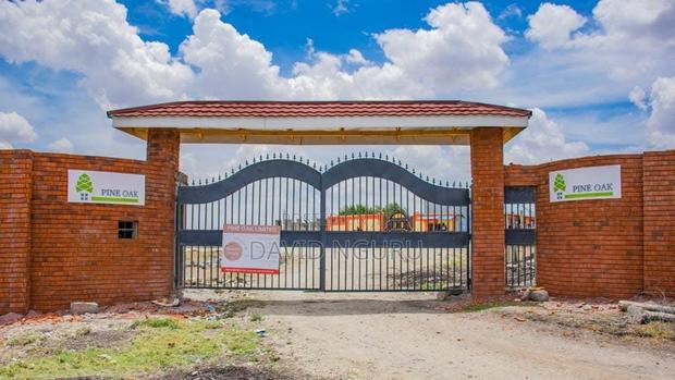 Prime Plot for Sale 50 by 100 Acacia