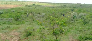 Prime Plot for Sale – Kekopey Near the Highway 50×100 (1/8 Acre)
