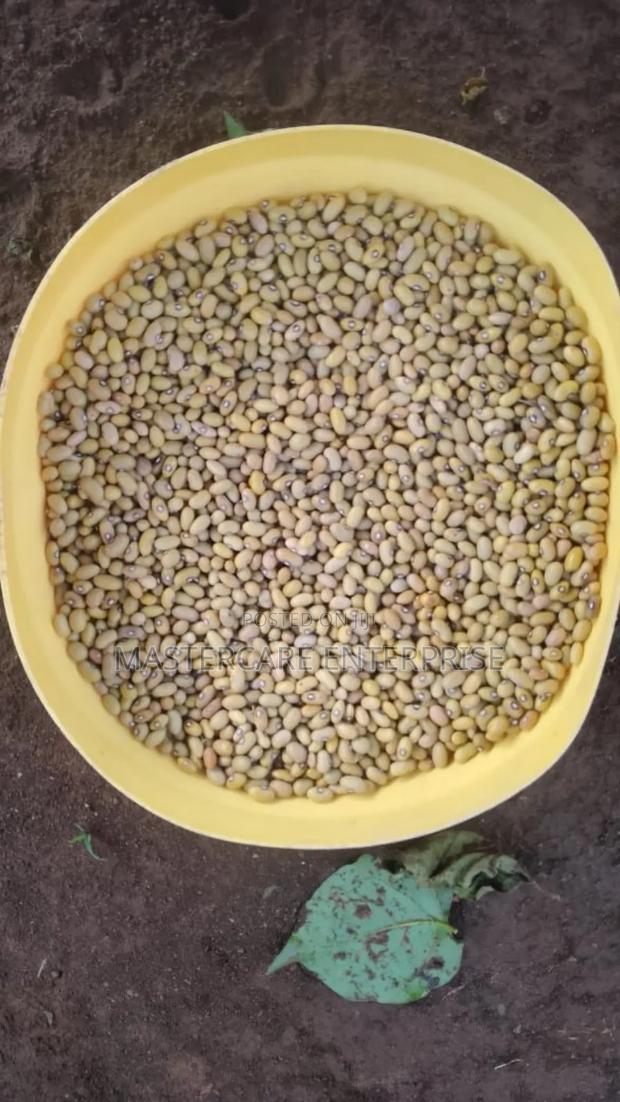 Yellow Beans for Sale in Kitale