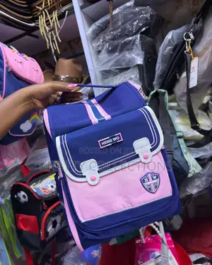 Classy Pink and Blue Girls Box School Bag Pack School Bags