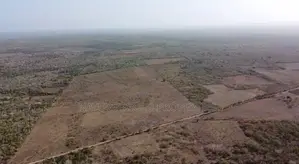 Prime Affordable 30-Acre Fertile Ranches in Malindi