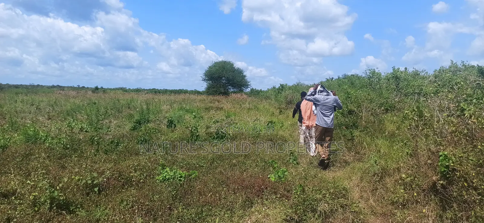 Prime Affordable 30-Acre Fertile Ranches in Malindi