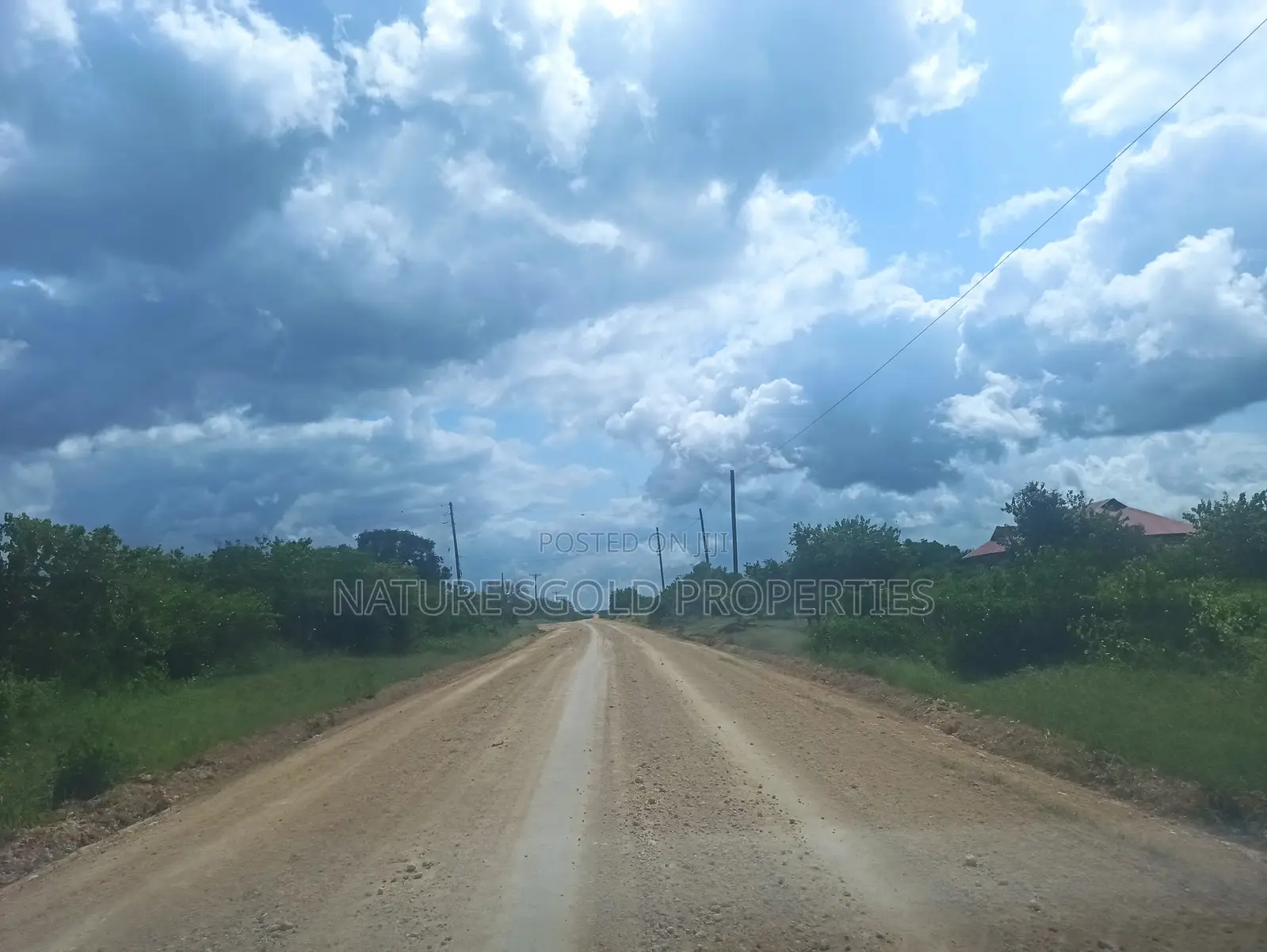 Prime Affordable 30-Acre Fertile Ranches in Malindi