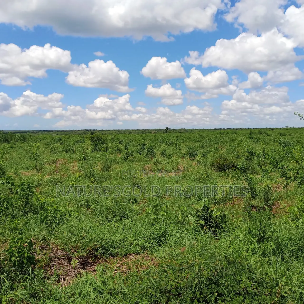 Prime Affordable 30-Acre Fertile Ranches in Malindi