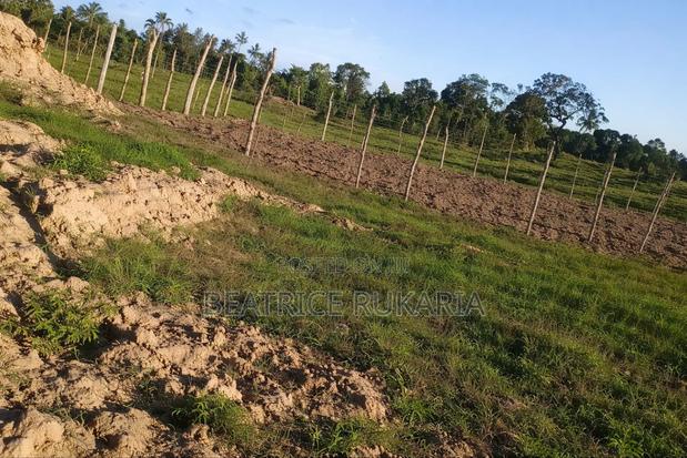 Plot of Land in Kaloleni Kilifi County
