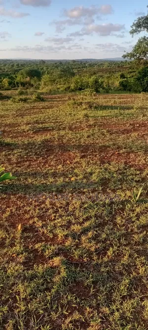 Land for Sell