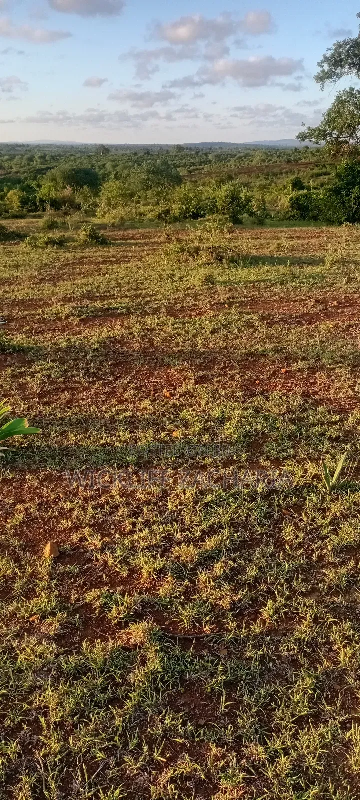 Land for Sell