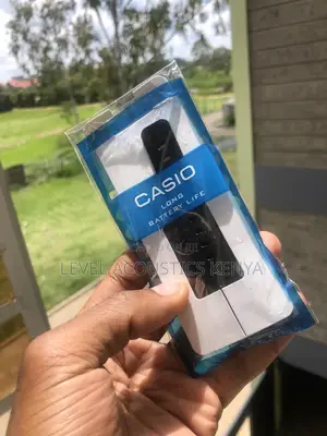 Casio Watch Smart Casual