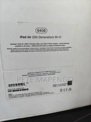 Apple iPad Air 64 GB Gray