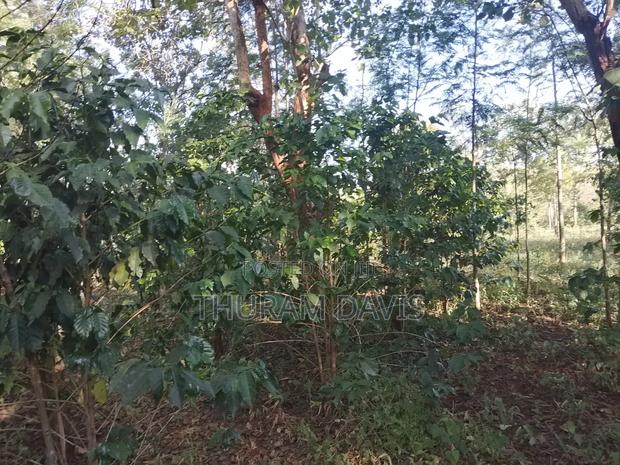 2 Half Acres Ruiri - thumbnail 4