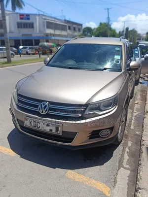 Volkswagen Tiguan 2015 Brown