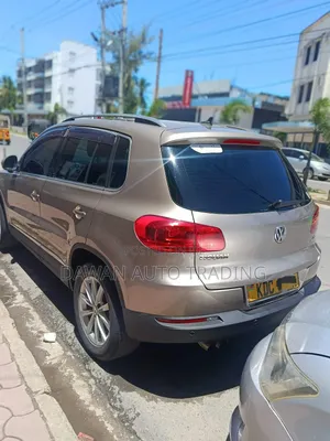 Volkswagen Tiguan 2015 Brown