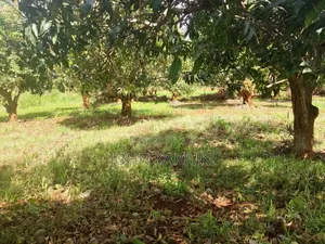 17 Acres of Land in Ugweri-Kanduri Embu County