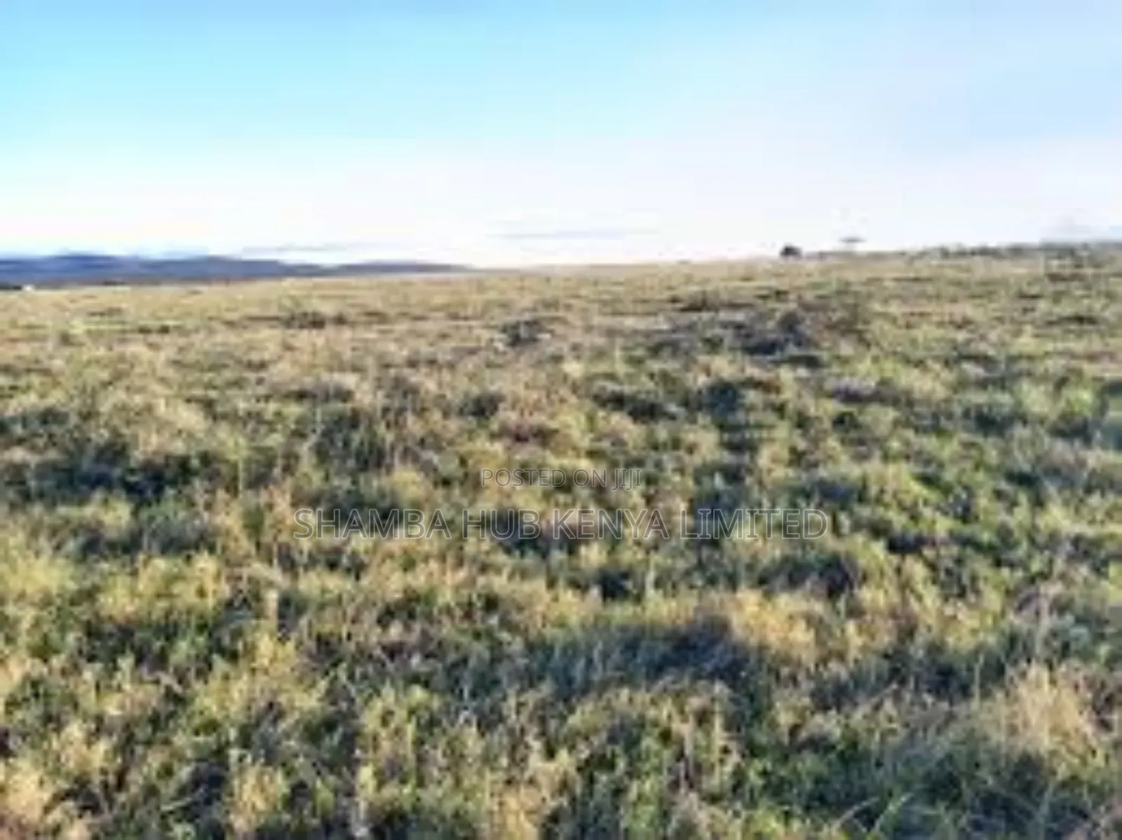Farmland for Sale in Narok West