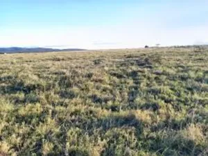 Farmland for Sale in Narok West