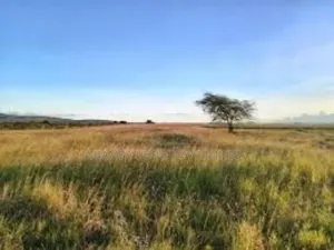 200 Acres On Sale In Transmara