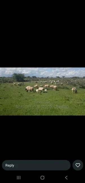 200 Acres On Sale In Transmara