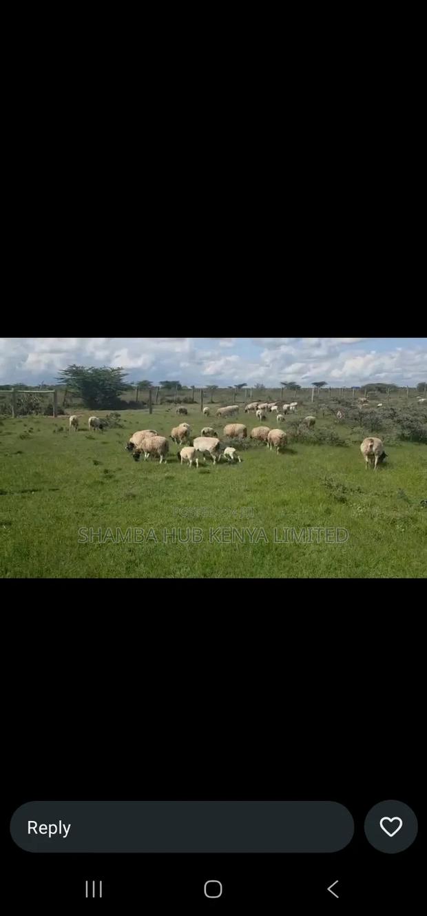 200 Acres On Sale In Transmara - thumbnail 2
