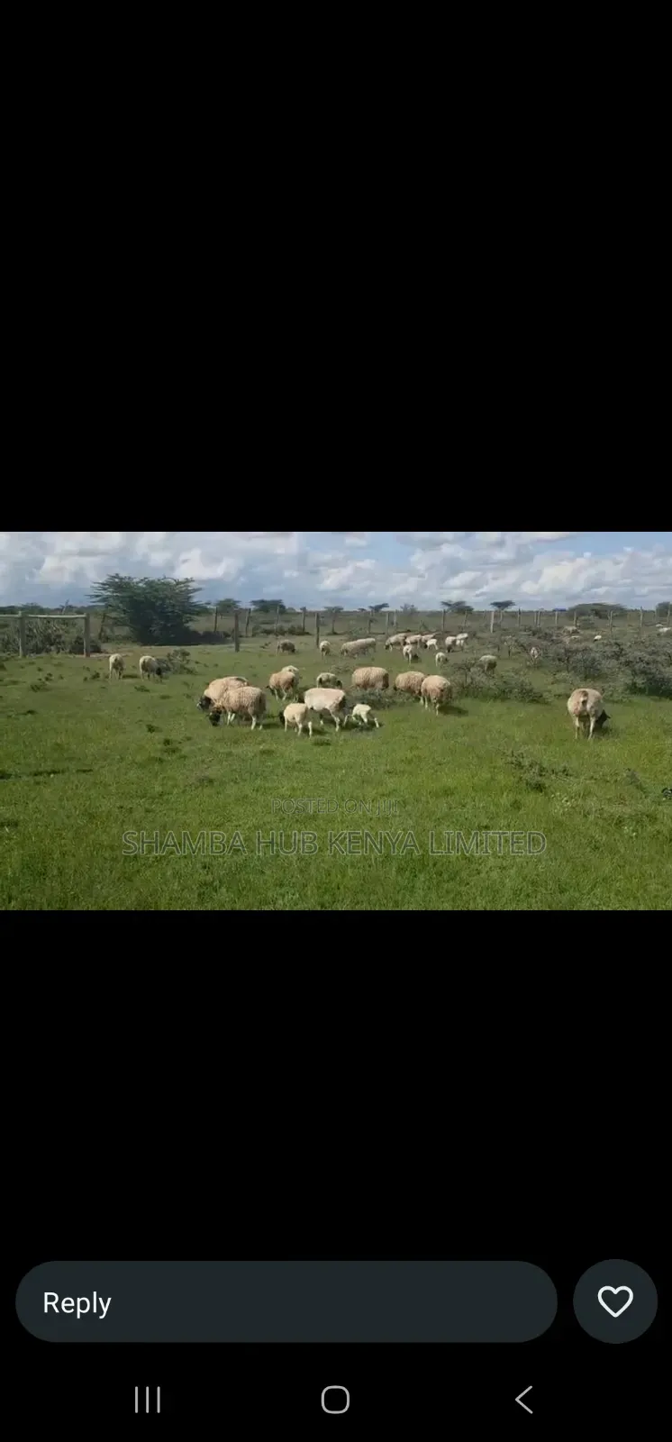 200 Acres On Sale In Transmara