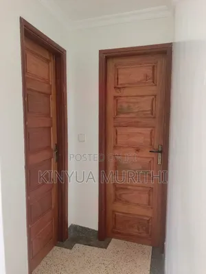 Mahogany Panel Doors