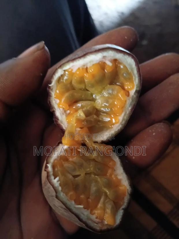 Passion Fruints - thumbnail 3