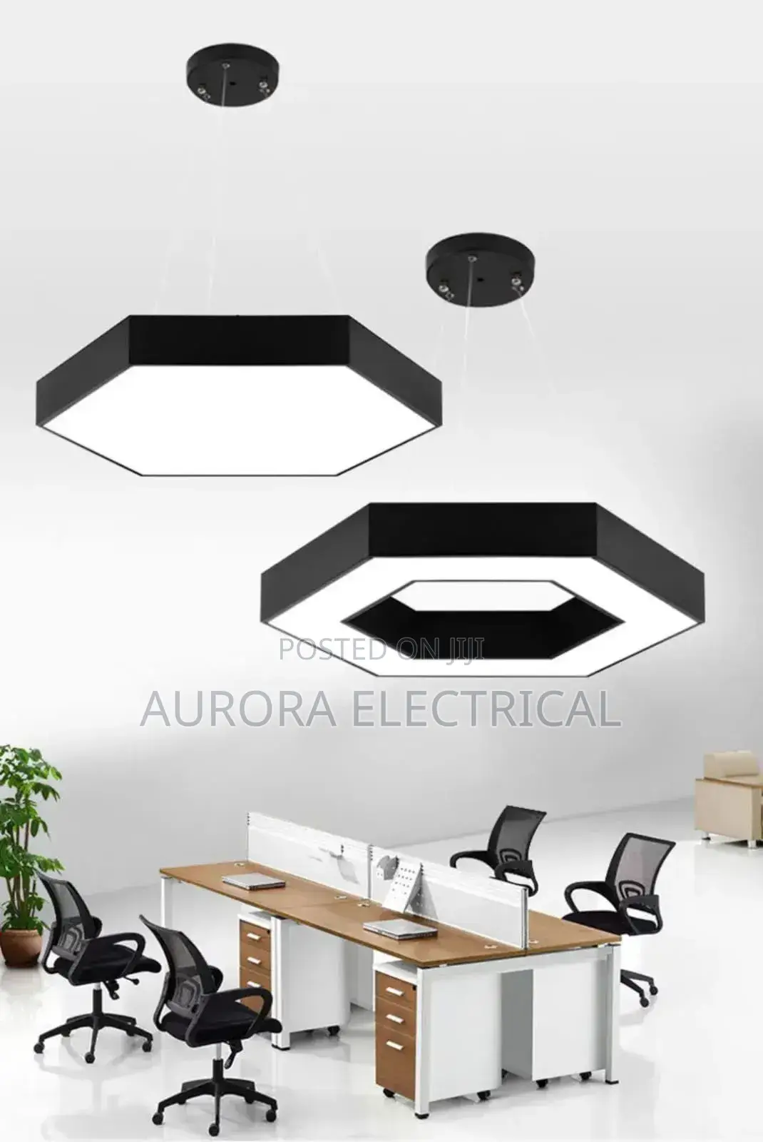Pendant Light /Ceiling Light