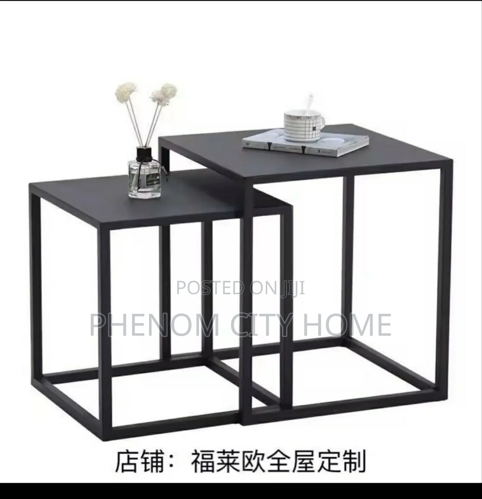 2 in 1 Nordic Metallic Side Table
