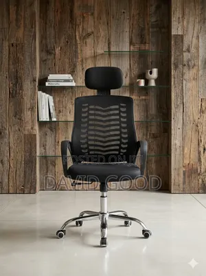 Ergonomic Office Chair