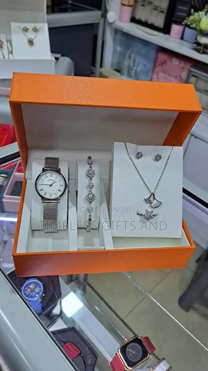 Ibso Mesh Silver Watch Jewelry Gift Package