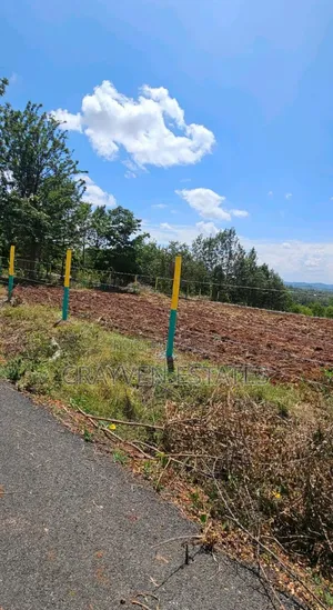 Prim Plot in Makuyu