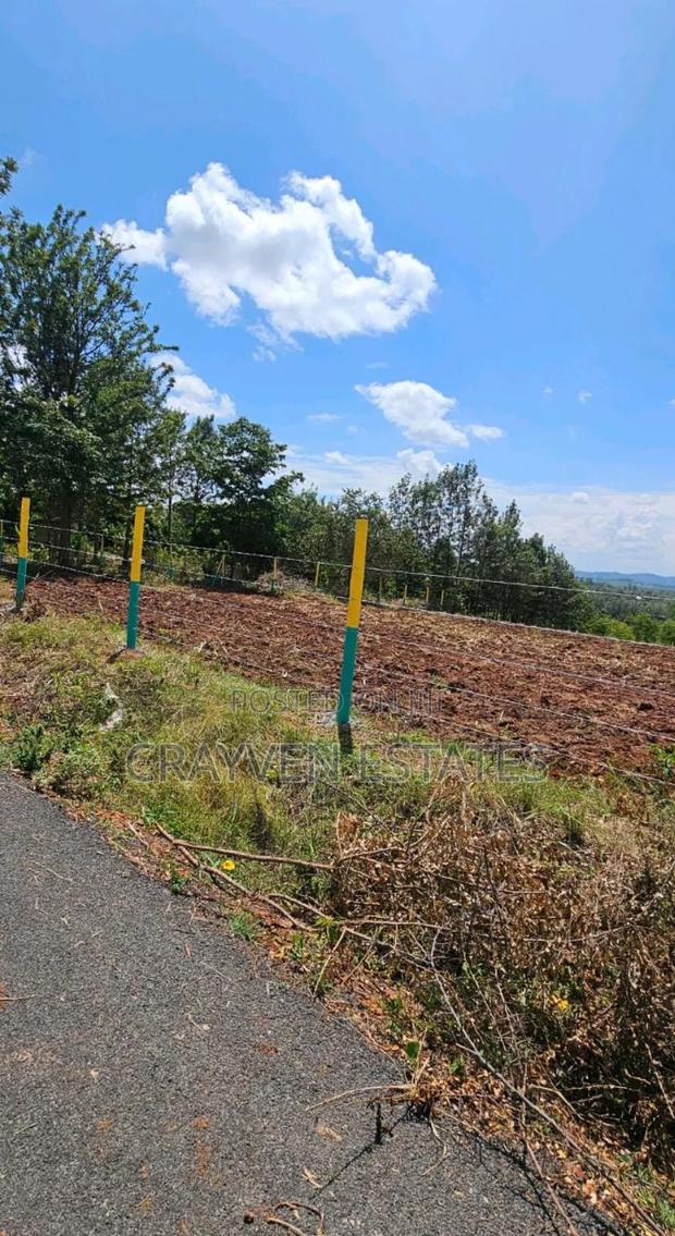 Prim Plot in Makuyu - main view