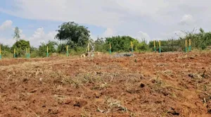 Prim Plot in Makuyu