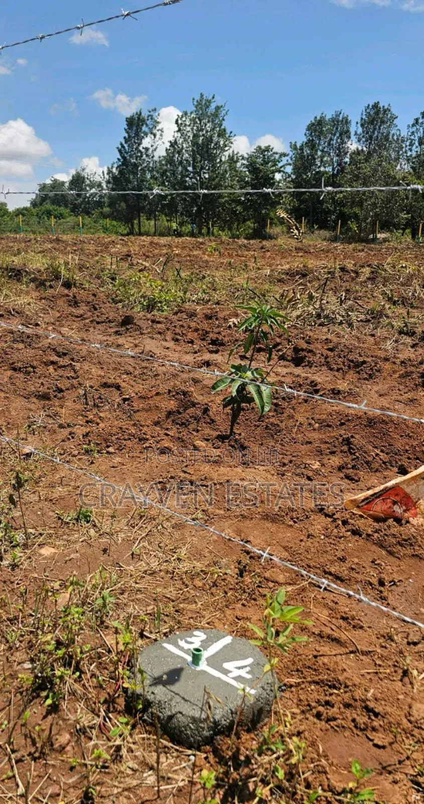 Prim Plot in Makuyu