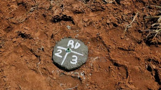 Prim Plot in Makuyu - thumbnail 9