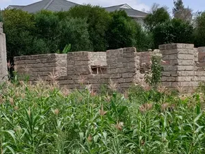 Kyumvi: 1 Acre for Sale