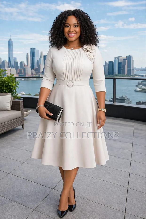 Cute Skater Dress With a Pleated Frontal Design - thumbnail 5