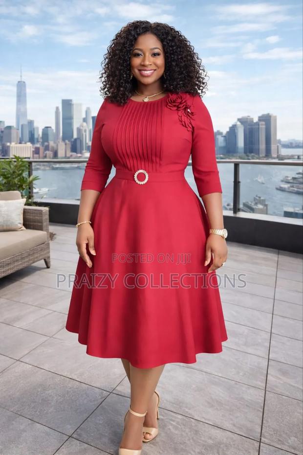 Cute Skater Dress With a Pleated Frontal Design - thumbnail 6