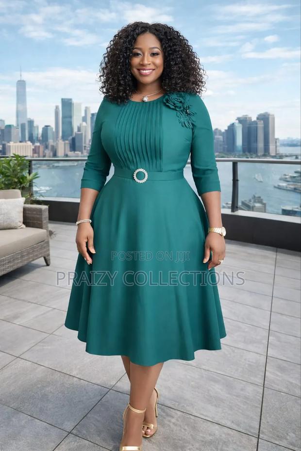 Cute Skater Dress With a Pleated Frontal Design - main view